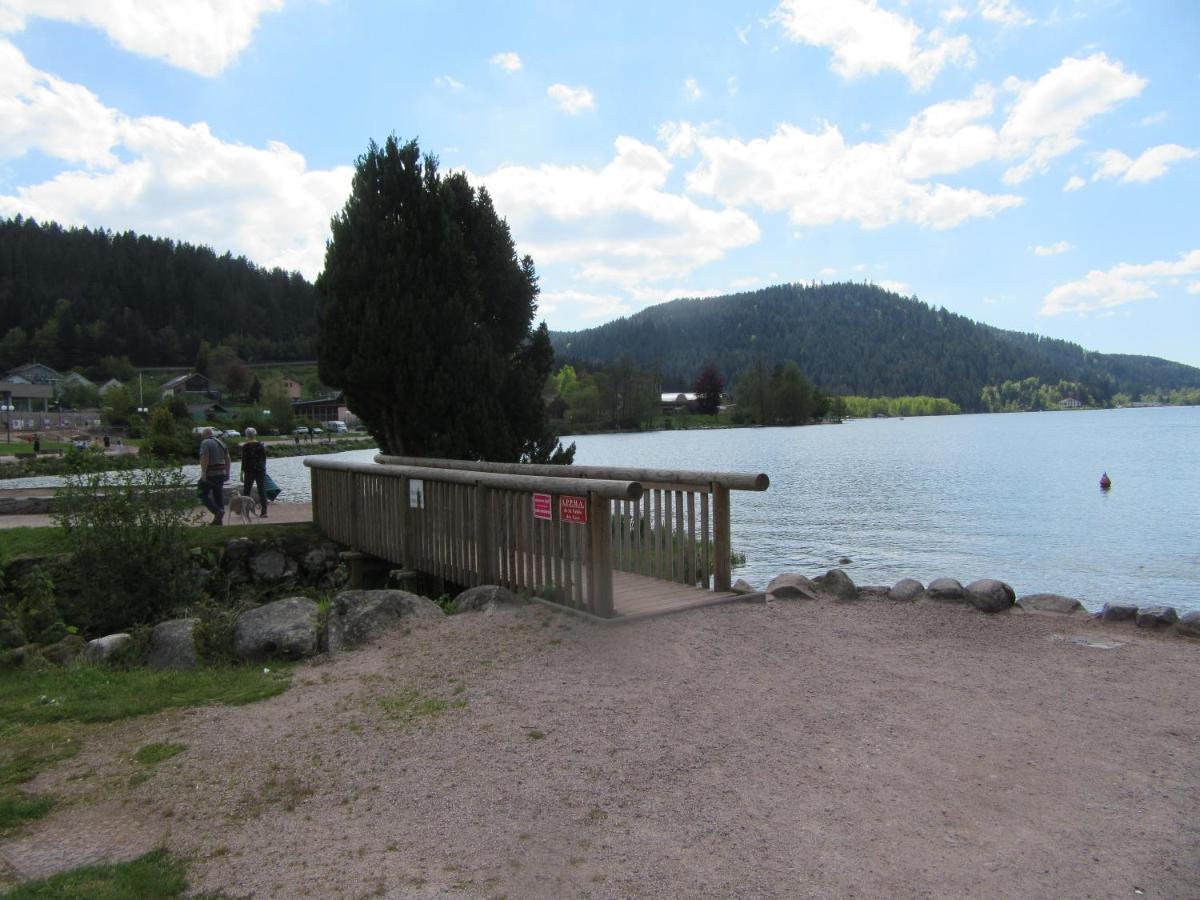 Appartement Les Balcons De La Chalande Le Tholy Gerardmer, Jardin,Balcon, Terrasse, エクステリア 写真