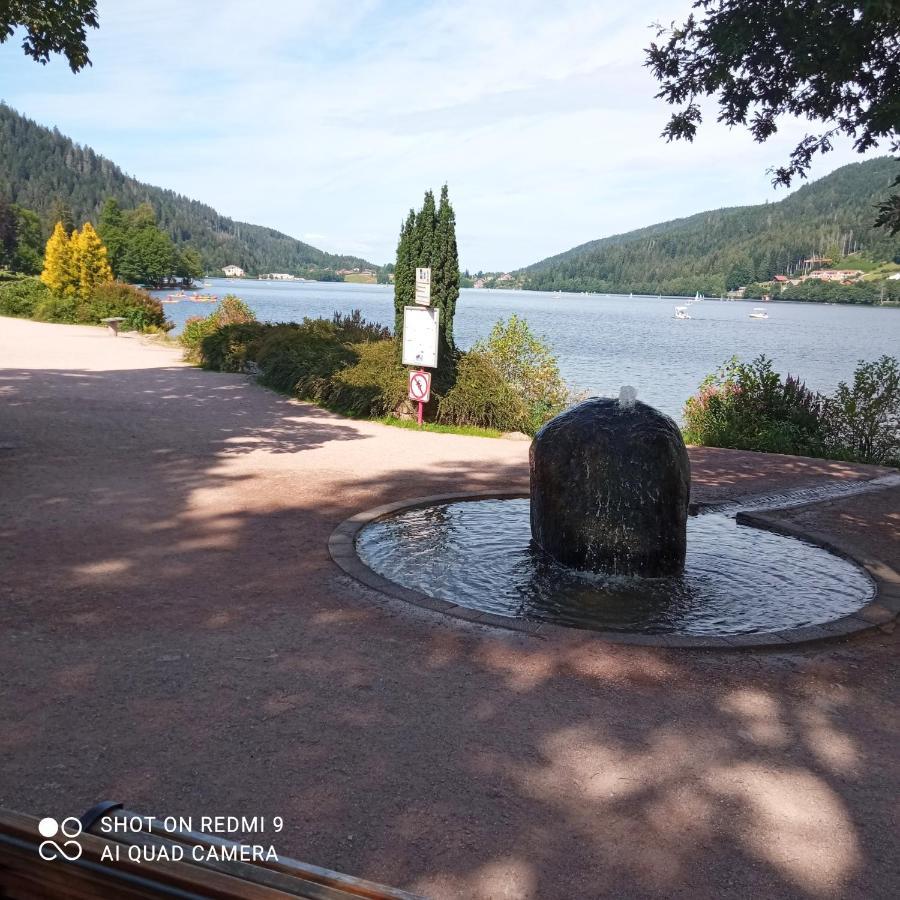 Appartement Les Balcons De La Chalande Le Tholy Gerardmer, Jardin,Balcon, Terrasse, エクステリア 写真